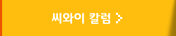 씨와이 칼럼