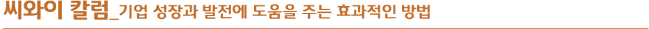 씨와이 칼럼_은행권의 E-finance에 관한 생각...