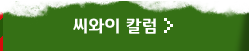 씨와이 칼럼