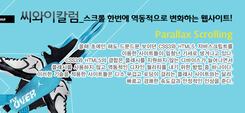 씨와이 칼럼