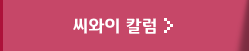 씨와이 칼럼