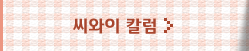 씨와이 칼럼